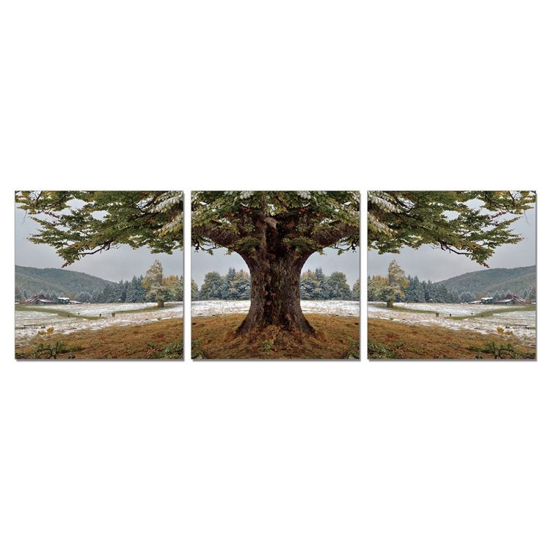 SH-17077 (3) Модульная картина горизонтальная из трех частей 60*60/60*180*2,5см  